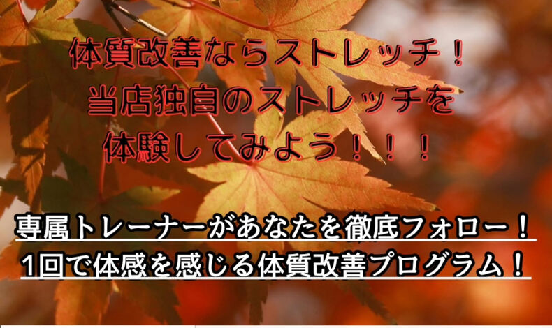画像1574